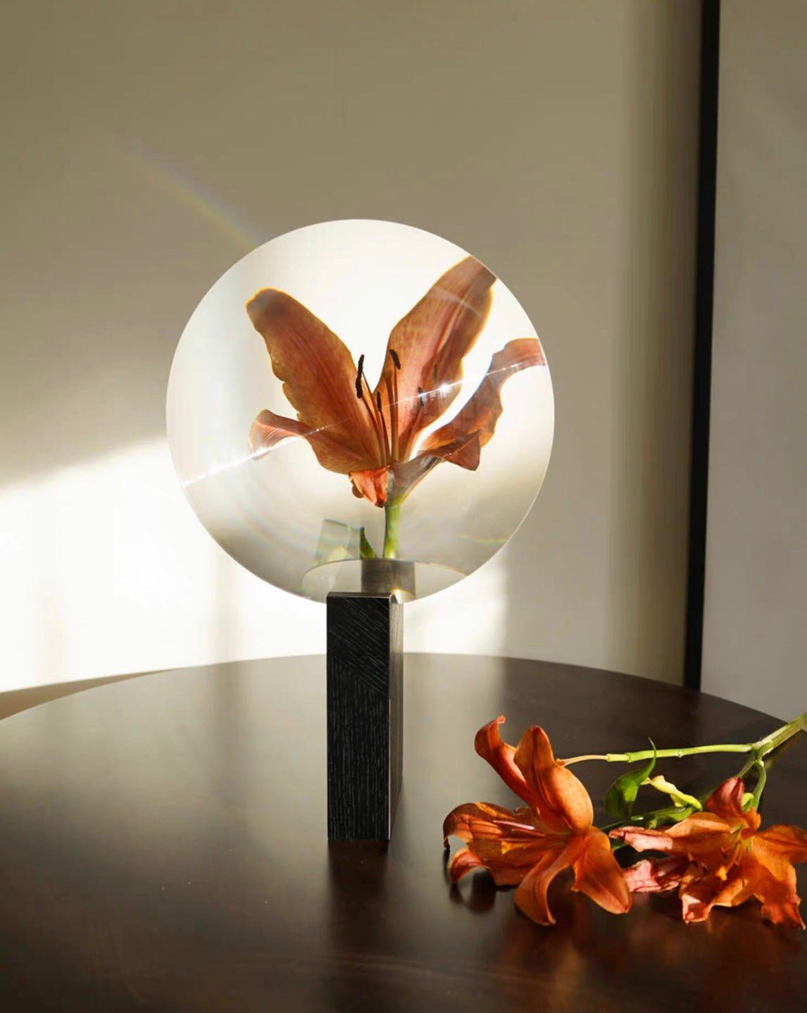 Vasă Phantom — Vasă Decorativă Modernă cu Iluzie Optică